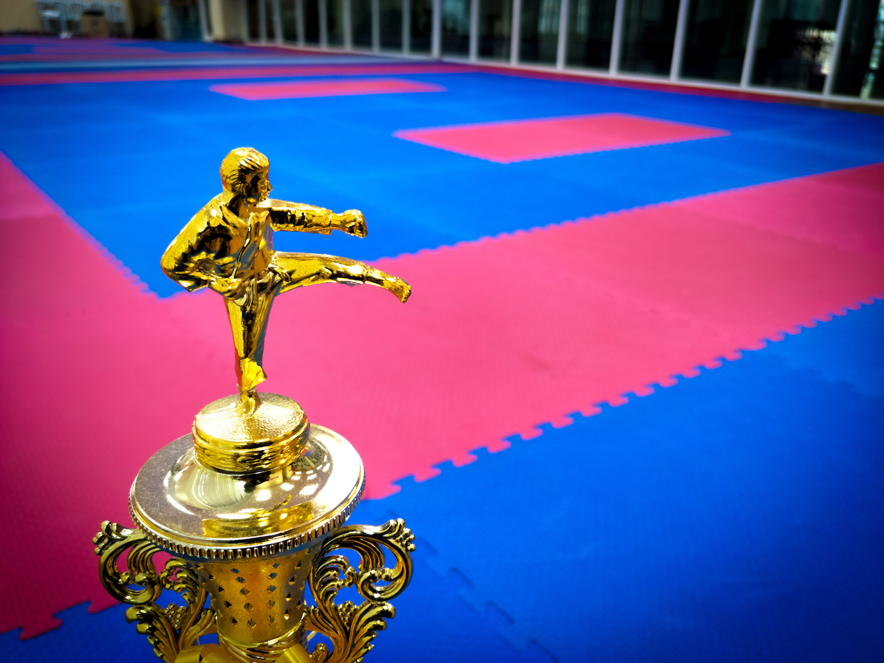 Competition and Karate - Seitou Ryu Karate